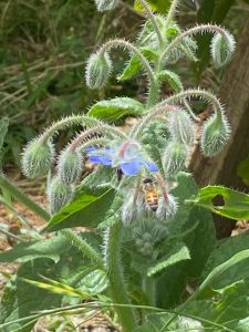 Día Internacional de la Mujer Trabajadora