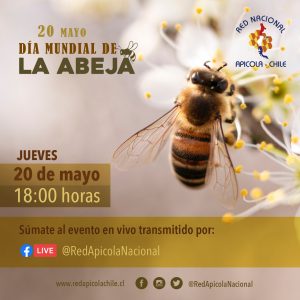 Día Mundial de la Abeja