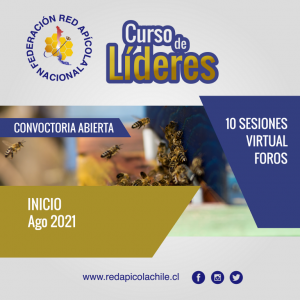 Curso de Lideres 2021