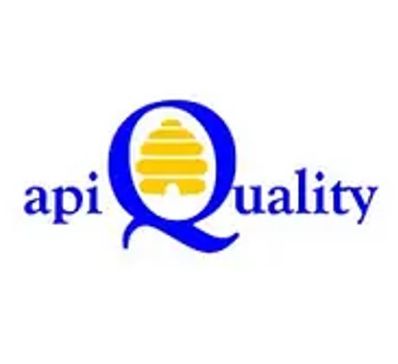 Brand Name - Create an Enticing Logo Display Website.APIQ