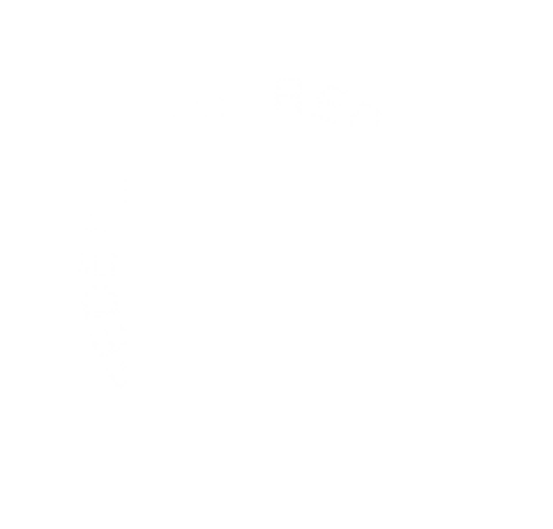 Red Apicola Chile F.G.