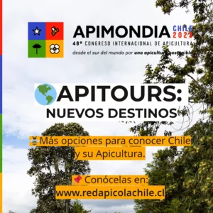 APITOURS: NUEVOS DESTINOS PARA CONOCER CHILE Y SU APICULTURA