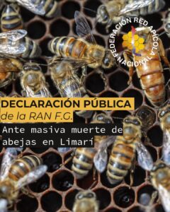 Declaración Pública ante masiva muerte de abejas en Limarí