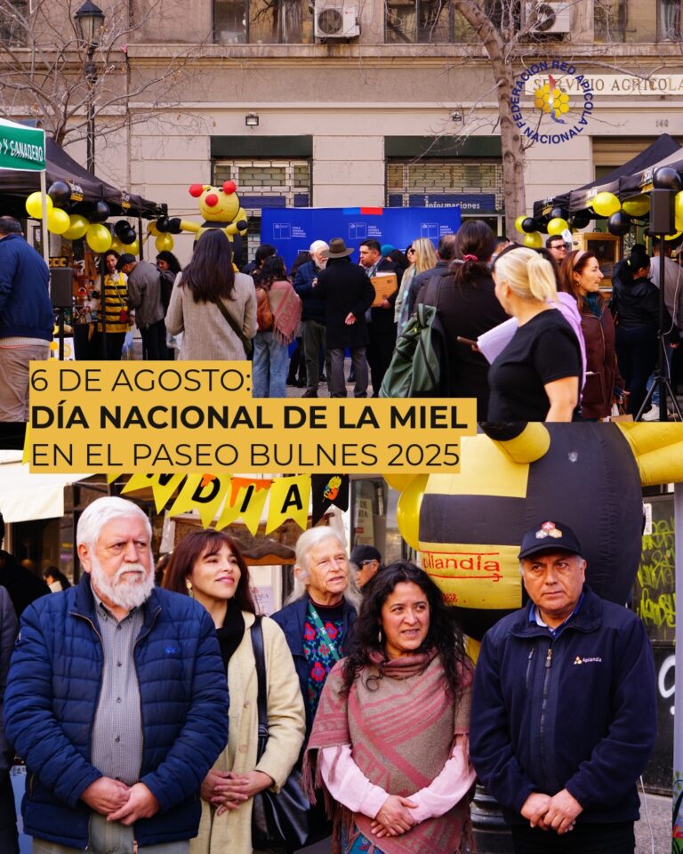 DÍA NACIONAL DE LA MIEL 2025: FERIA EN EL PASEO BULNES