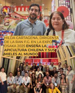 HILDA CARTAGENA DIRIGENTA DE LA RAN F.G. EN LA EXPO OSAKA 2025: ENSEÑA LA APICULTURA CHILENA Y SUS MIELES AL MUNDO