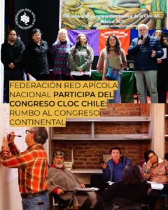 FEDERACIÓN RED APÍCOLA NACIONAL PARTICIPA EN EL CONGRESO CLOC-CHILE: RUMBO AL CONGRESO CONTINENTAL