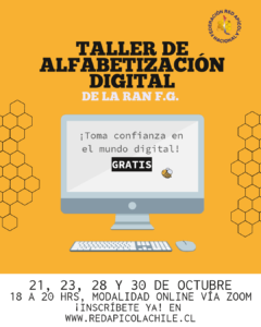 TALLER DE ALFABETIZACIÓN DIGITAL